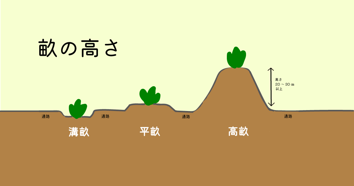 溝畝、平畝、高畝の形状を表すイラスト