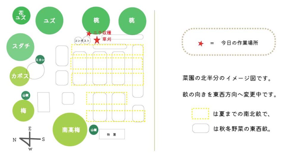 家庭菜園のレイアウト図とその説明と今日の作業場所の表示。