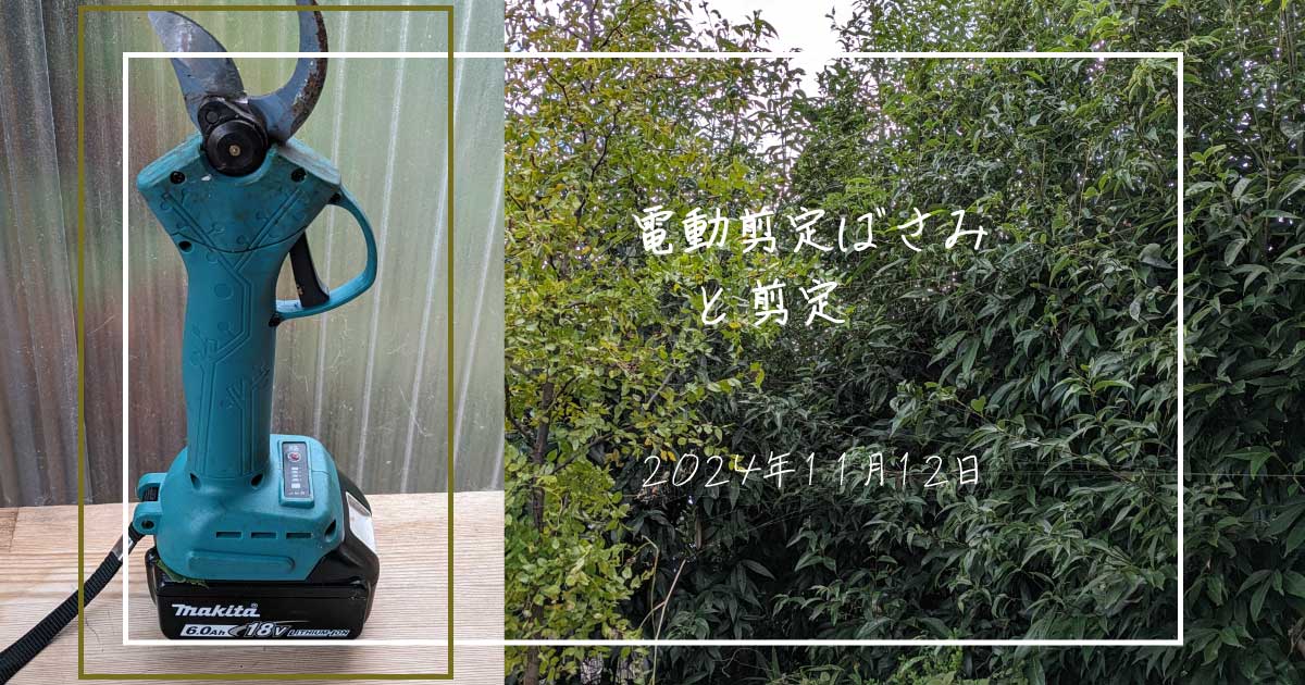 電動剪定ばさみと生垣の画像とタイトルテキスト（電動剪定ばさみと剪定2024年11月12日）